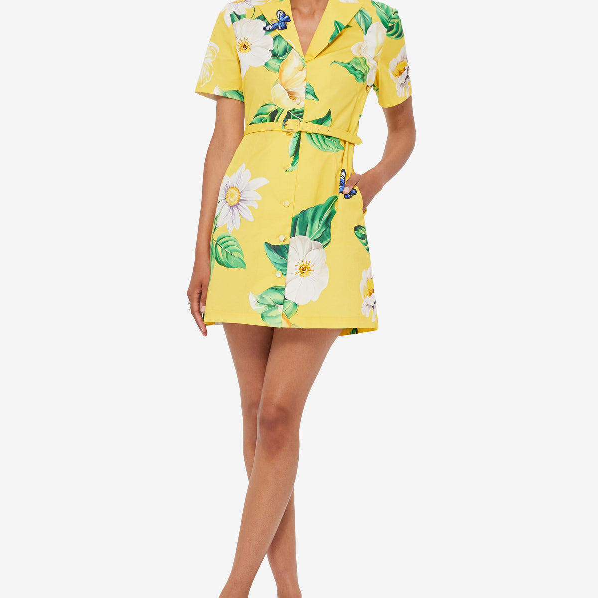 joie dress Brigitte Mini Dress