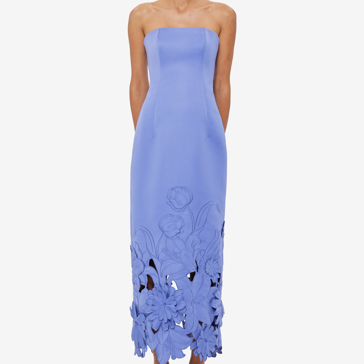 Rayna Appliqué Bustier Maxi Dress