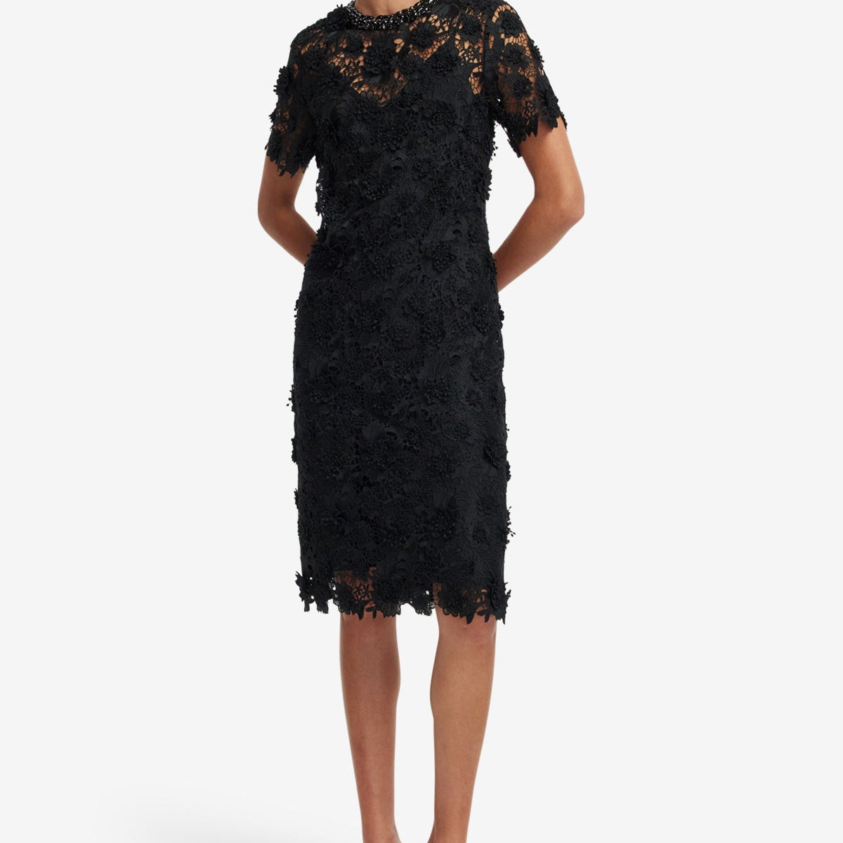 Womens Dress Js Collections Soutache Lace Midi Dress Petite JS Collections  Zaria Soutache Lace Cocktail Dress