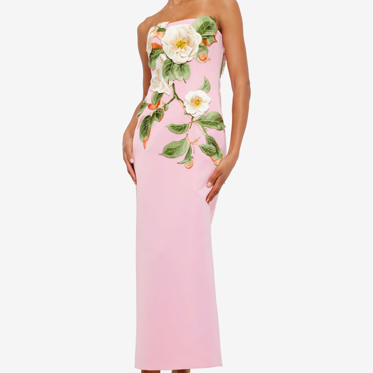 Rayna Appliqué Floral Bustier Maxi Dress
