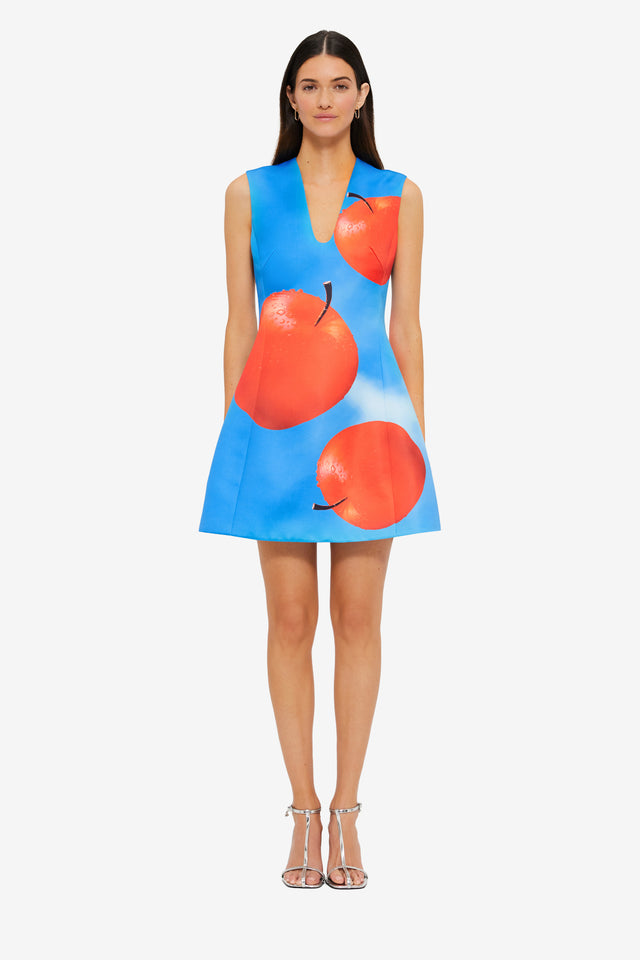 Exclusive LEO LIN Briana V Neck Mini Dress - Apple Print