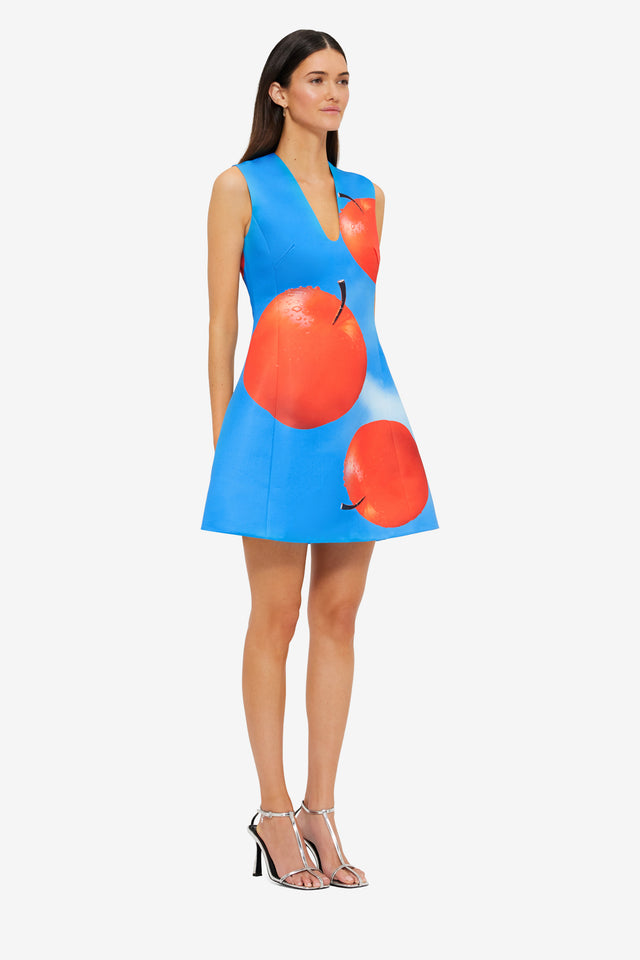 Exclusive LEO LIN Briana V Neck Mini Dress - Apple Print