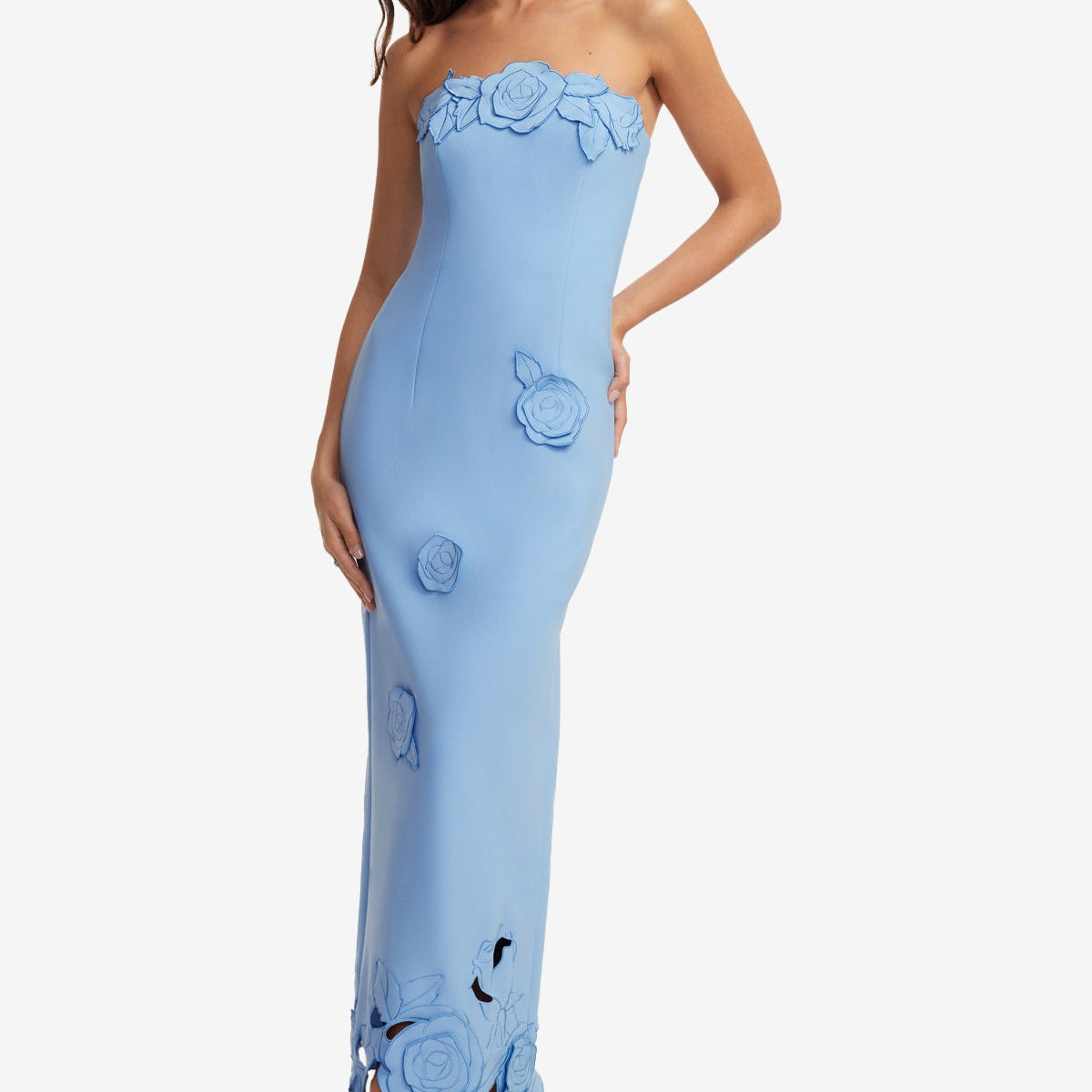 Rayna Appliqué Bustier Maxi Dress