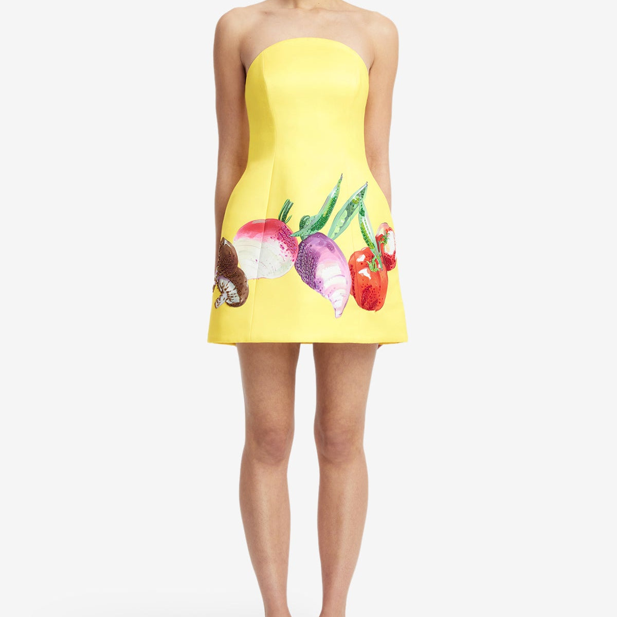 LEO LIN - Zaria Bustier Mini Dress