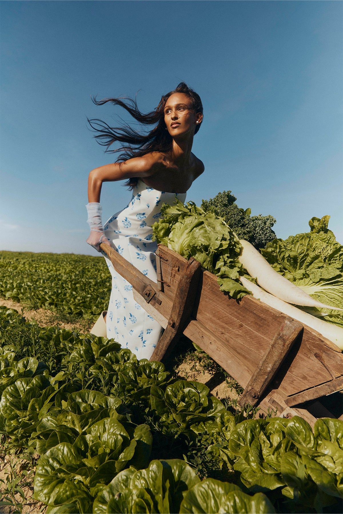 Pre Fall 26 - The Harvest