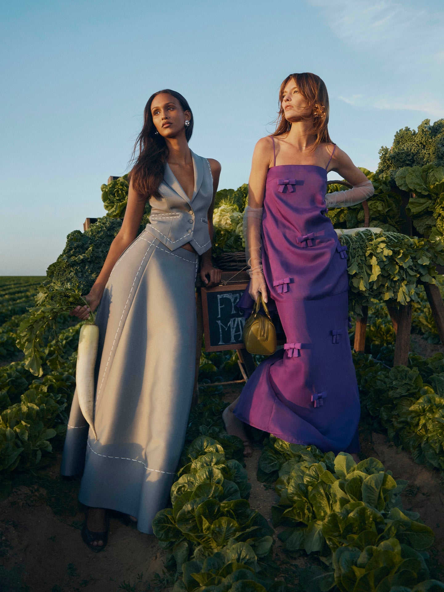 Pre Fall 26 - The Harvest