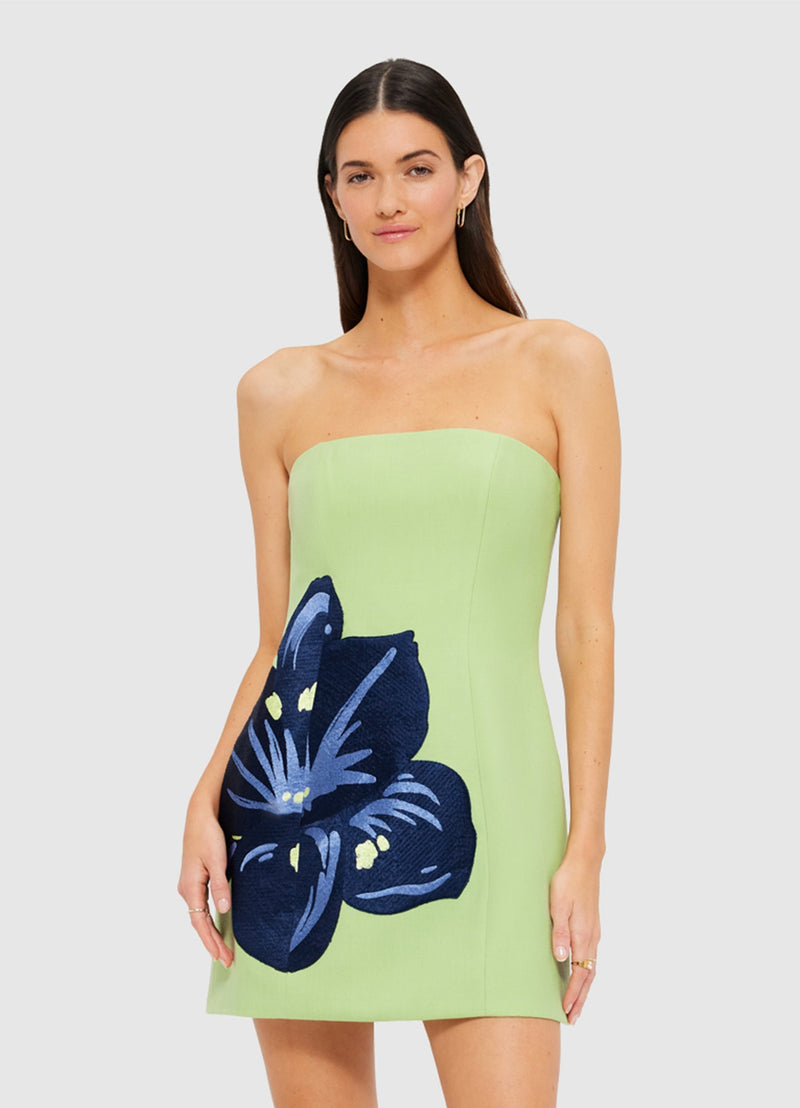 Roselle Embellished Bustier Mini Dress