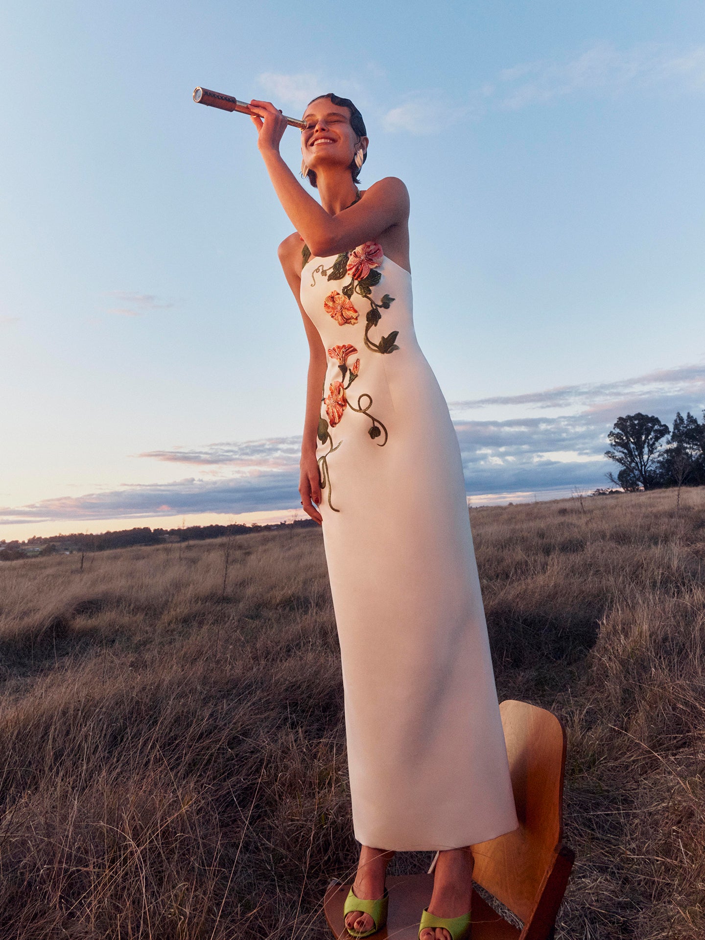 Ava Halterneck Appliqué Floral Bustier Maxi Dress - Vine Print in