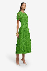 Caroline Lace Short Sleeve Midi Dress - Fern Dress Midi