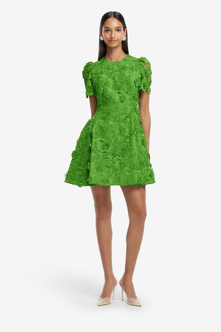 Elyse Lace Short Sleeve Mini Dress - Fern LEO LIN Elyse Lace Short Sleeve Mini Dress - Fern LEO LIN