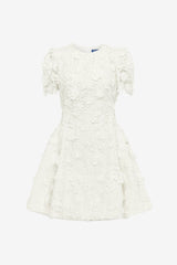Elyse Lace Short Sleeve Mini Dress - Snow Dress Mini