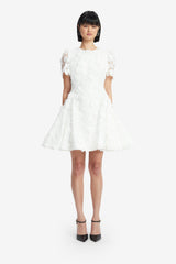 Elyse Lace Short Sleeve Mini Dress - Snow Dress Mini