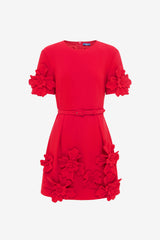 Aurelie Floral Appliqué Mini Dress - Rosa Dress Mini