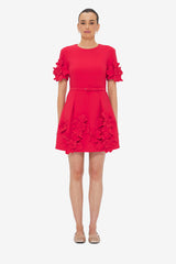 Aurelie Floral Appliqué Mini Dress - Rosa Dress Mini