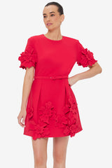 Aurelie Floral Appliqué Mini Dress - Rosa Dress Mini