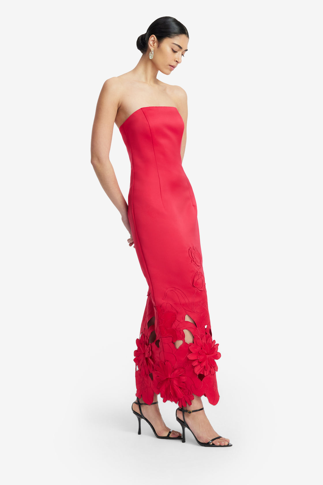 Rayna Appliqu Bustier Maxi Dress - Rosa Rayna Appliqu Bustier Maxi Dress - Rosa