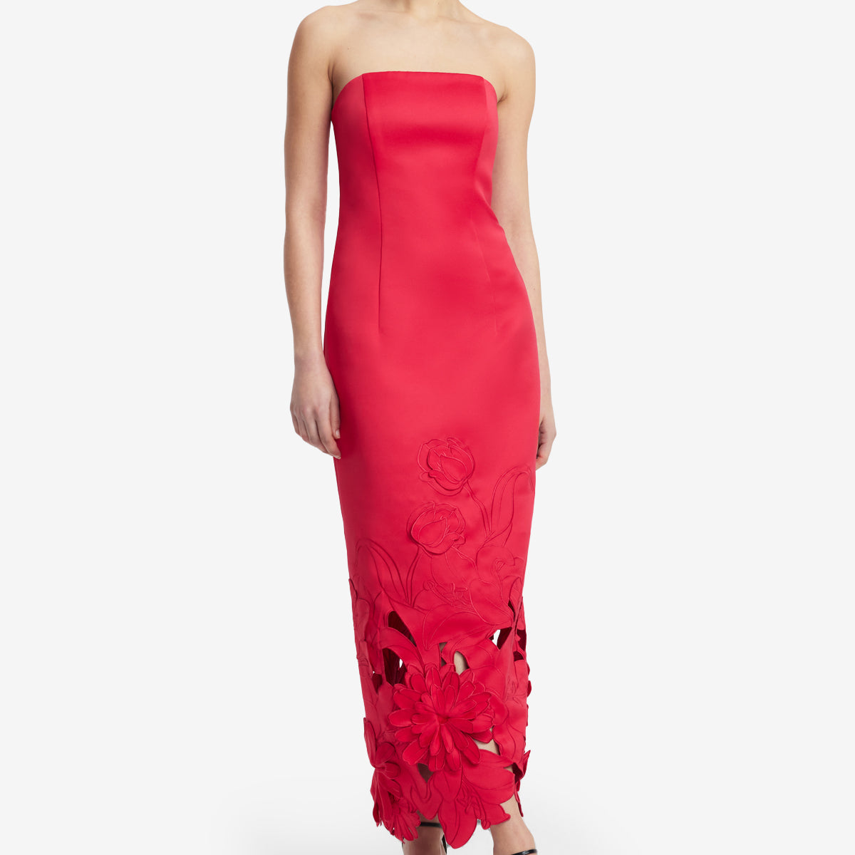 Rayna Applique Bustier Floral Maxi Dress in Pink