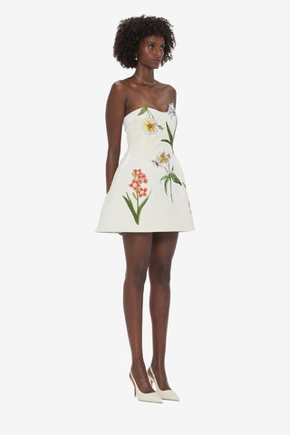 Exclusive LEO LIN Rosario Velvet Mini Dress - Botanical Print in Snow