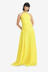 Amya Floral Appliqué Gown - Sunshine Dress Maxi