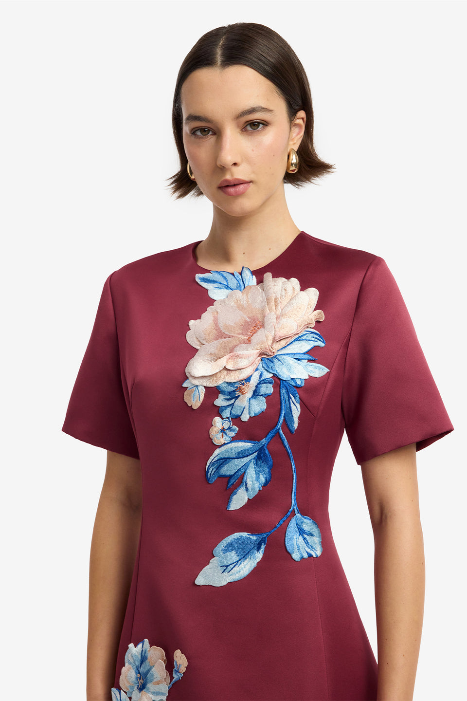 Caroline Embroidered Short Sleeve Midi Dress - Cosmos Print Dress Midi