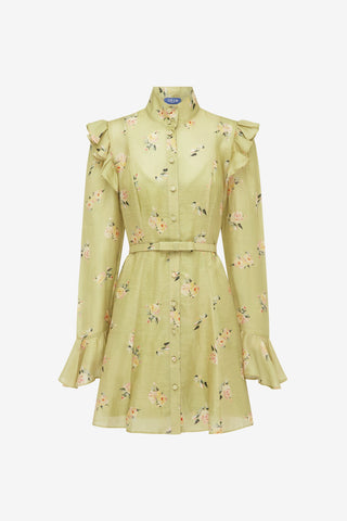 Kristy Butterfly Sleeve Mini Dress - Pistachio Rose Print Dress Mini