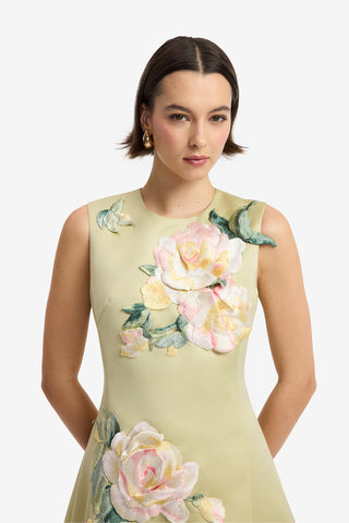 Cleo Embroidered Sleeveless Midi Dress - Pistachio Rose Print Dress Midi