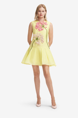 Petra Applique Mini Dress - Agapanthus Print Dress Mini