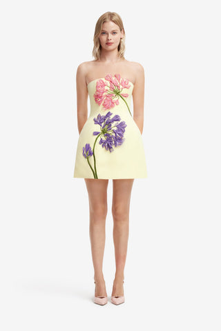 Roselle Applique Bustier Mini Dress - Agapanthus Print Dress Mini