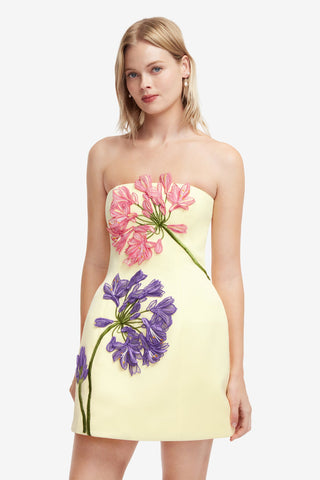 Roselle Applique Bustier Mini Dress - Agapanthus Print Dress Mini