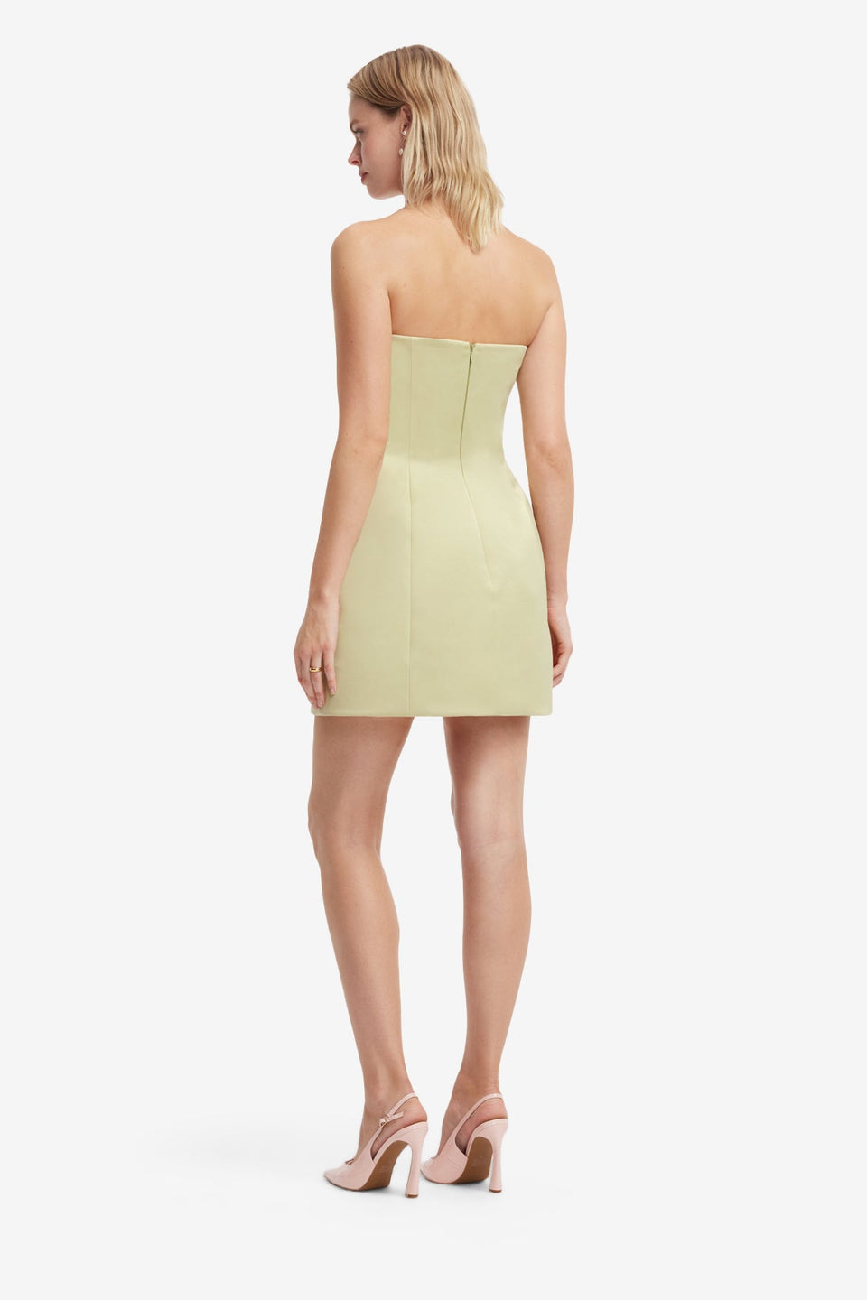 Roselle Embroidered Bustier Mini Dress - Pistachio Rose Print Dress Mini
