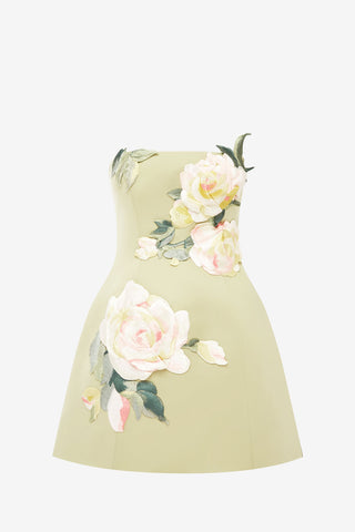 Roselle Embroidered Bustier Mini Dress - Pistachio Rose Print Dress Mini