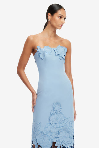 Exclusive LEO LIN Rayna Appliqué Bustier Maxi Dress - Baby Blue