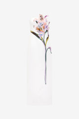 Rayna Appliqué Floral Maxi Dress - Lily Print in Snow Dress Maxi