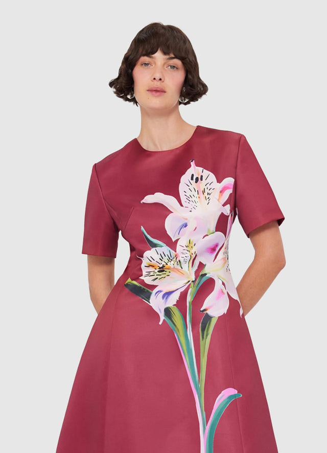 Exclusive LEO LIN Caroline Short Sleeve Midi Dress - Lily Print in Burgundy