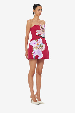 Exclusive LEO LIN Rosario Appliqué Floral Bustier Mini Dress - Lily Print in Oxblood