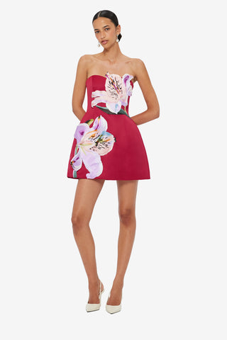 Exclusive LEO LIN Rosario Appliqué Floral Bustier Mini Dress - Lily Print in Oxblood