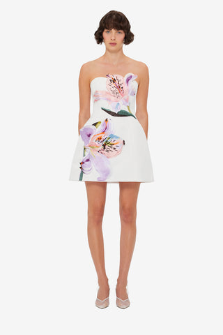 Exclusive LEO LIN Rosario Applique Floral Bustier Mini Dress - Lily Print in Snow