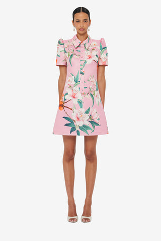 Exclusive LEO LIN Brooke Mini Dress - Lavish Print in Pink