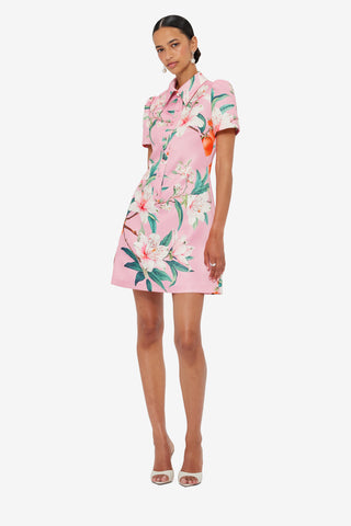 Exclusive LEO LIN Brooke Mini Dress - Lavish Print in Pink