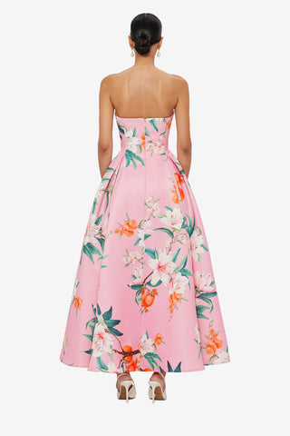 Exclusive LEO LIN Nora Bustier Maxi Dress - Lavish Print in Pink