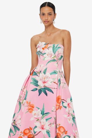 Exclusive LEO LIN Nora Bustier Maxi Dress - Lavish Print in Pink