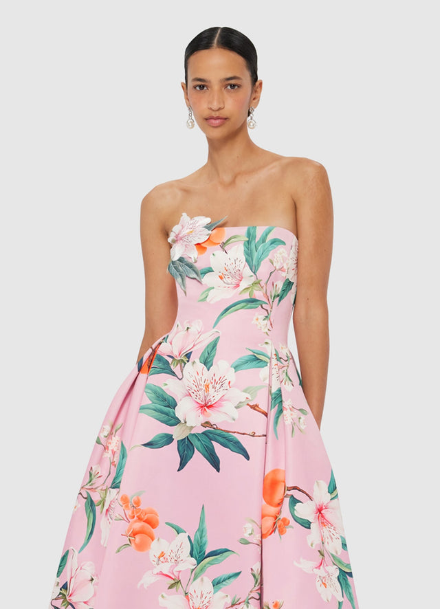 Exclusive LEO LIN Nora Bustier Maxi Dress - Lavish Print in Pink