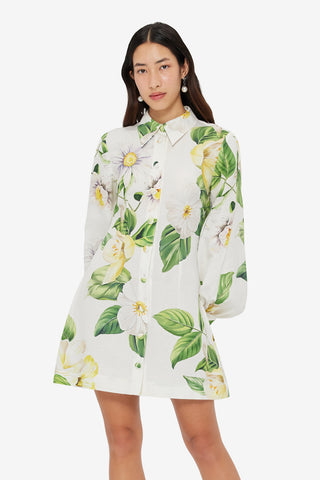 Exclusive LEO LIN Luminous Linen Mini Dress - Joie Print in Snow