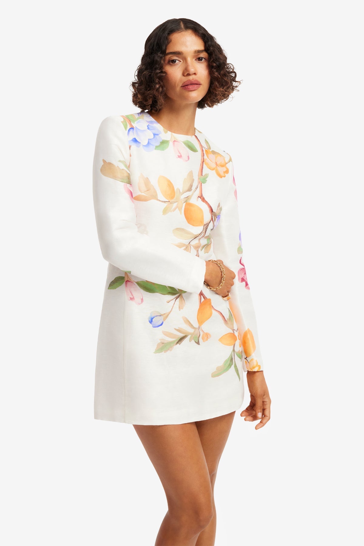 Aliza Long Sleeve Mini Dress - Lemon Vine Print in Snow – LEO LIN