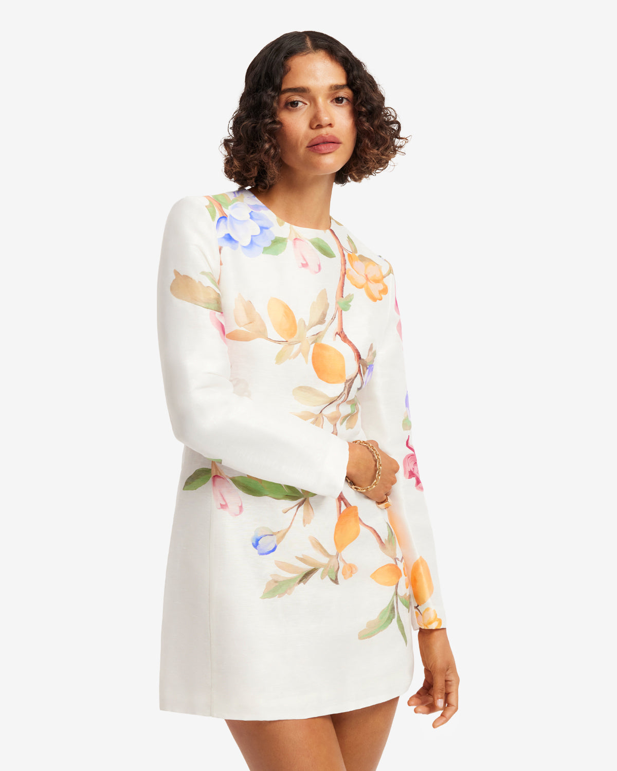 Aliza Long Sleeve Mini Dress - Lemon Vine Print in Snow LEO LIN Aliza Long Sleeve Mini Dress - Lemon Vine Print in Snow LEO LIN