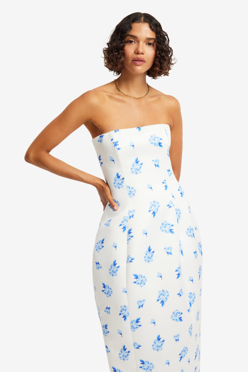 Jessica Cocoon Bustier Maxi Dress - Ditsy Floral Print in Snow Dress Maxi