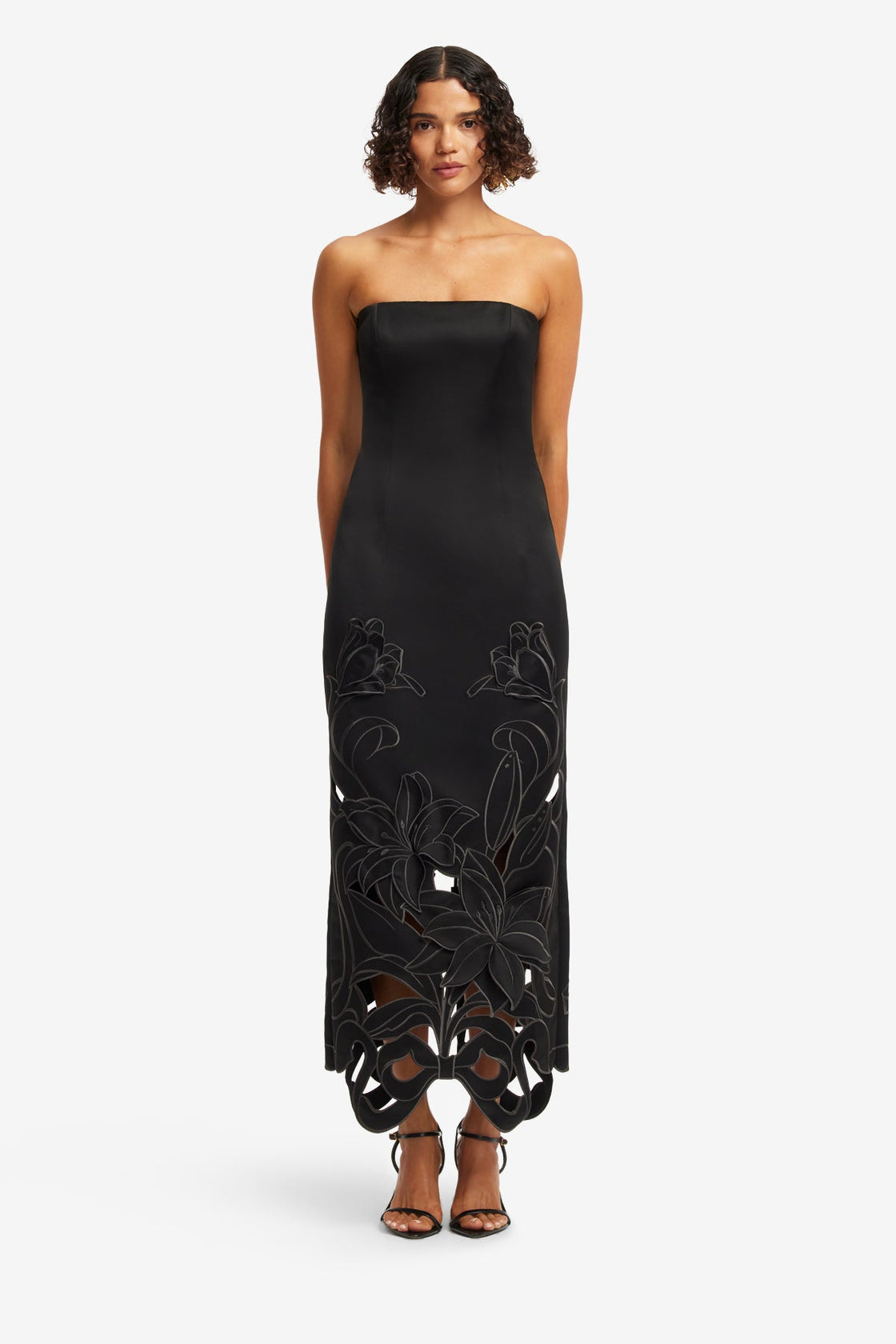 Rayna Appliqué Bustier Maxi Dress - Lily in Ebony Dress Maxi