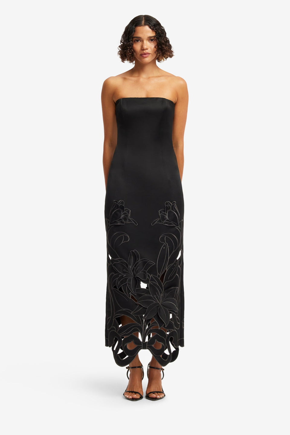 Rayna Appliqué Bustier Maxi Dress - Lily in Ebony Dress Maxi