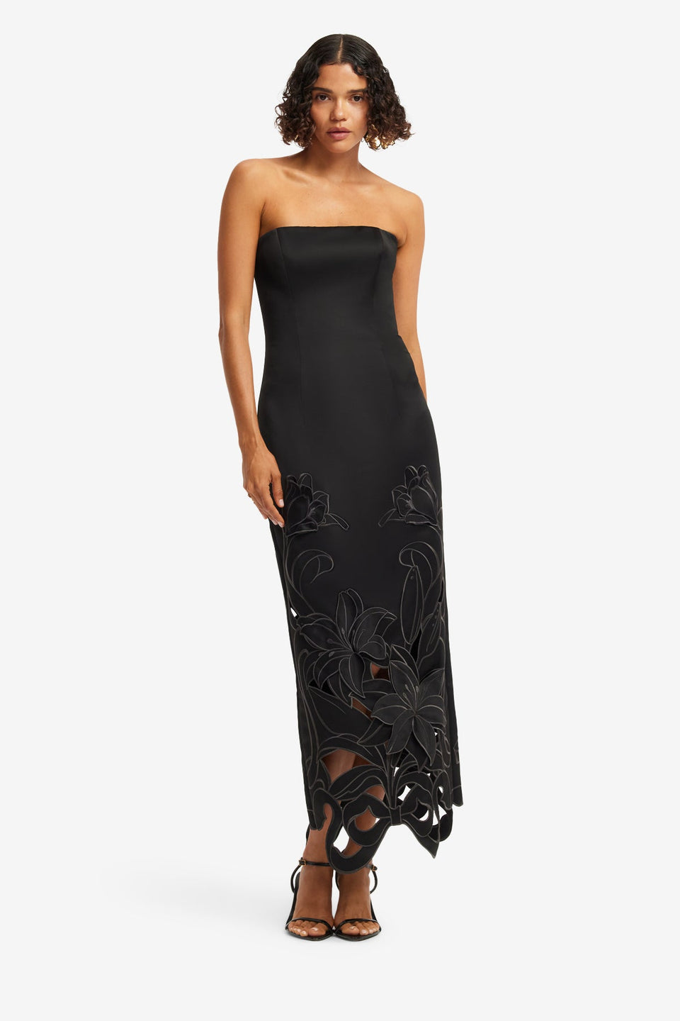 Rayna Appliqué Bustier Maxi Dress - Lily in Ebony Dress Maxi