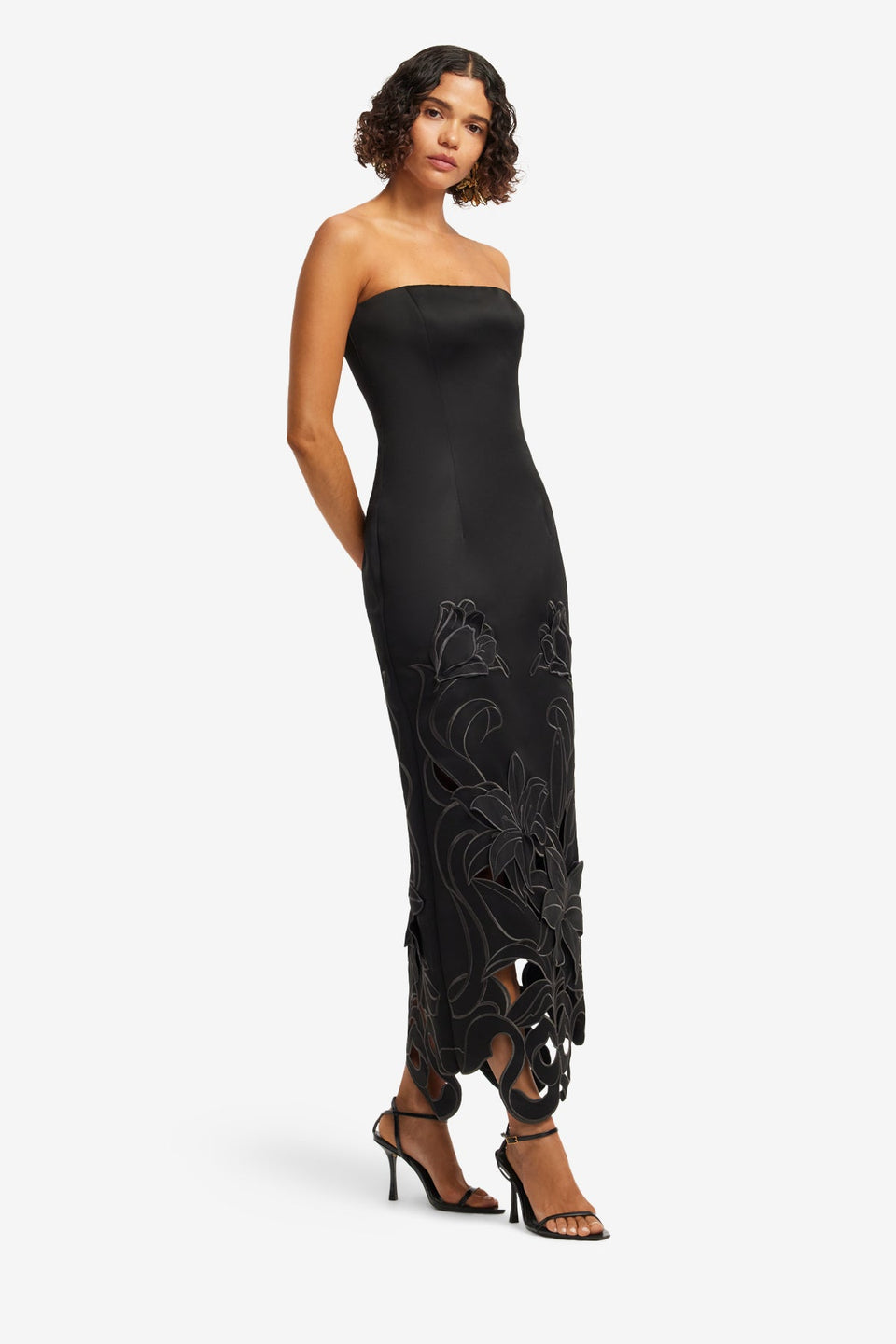 Rayna Appliqué Bustier Maxi Dress - Lily in Ebony Dress Maxi